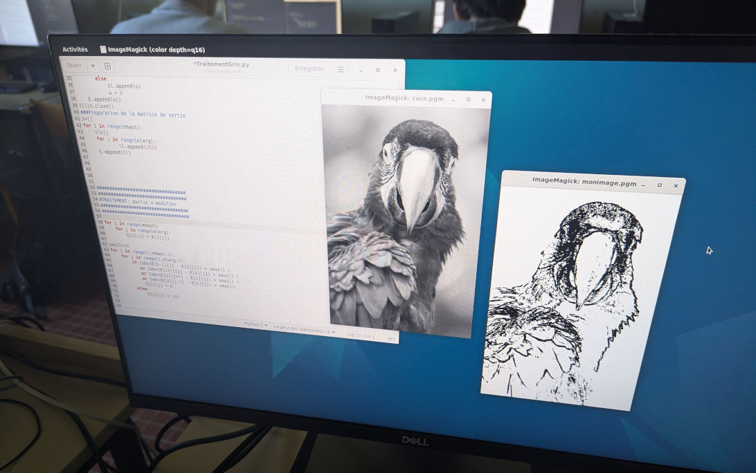 Programming in Python for edge detection on a greyscale image.