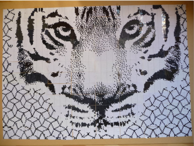 Tigre